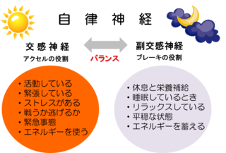 25.png